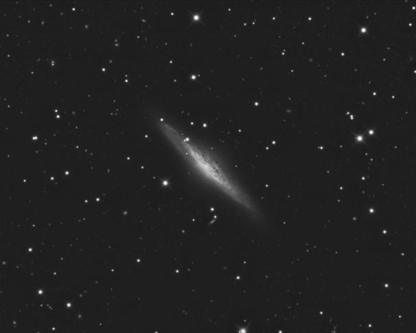 NGC 2683 20.02.2023 Plattform der Sternwarte Gilching © Thomas Rose