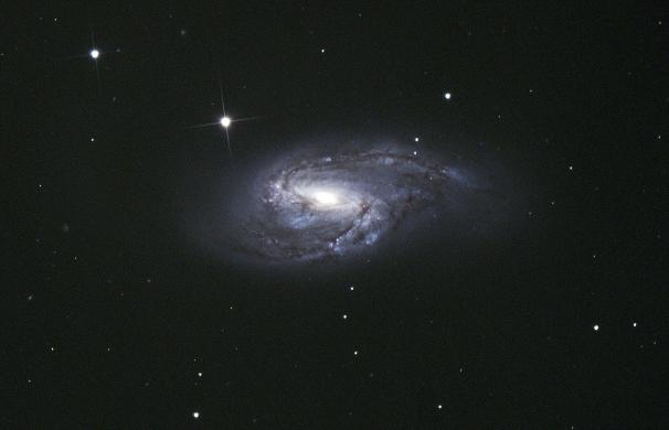Messier 66 20"-Newton der Sternwarte Gilching © Dr. Michael Rappenglück